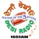 Listen to Desi Radio 1602 AM free radio online