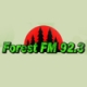 Listen to Forest FM 92.3 free radio online