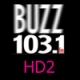 Listen to WPBZ HD2 Buzz 103.1 FM free radio online