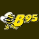 Listen to WFBE B 95.1 FM free radio online