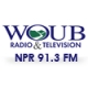 WOUB NPR 91.3 FM