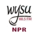 Listen to WYSU NPR 88.5 FM free radio online