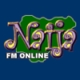 Listen to Naija 101.1 FM free radio online