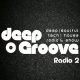 Listen to deepGroove Radio free radio online