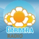 Gerbera Radio