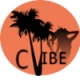 Vibe Audio Station