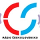 RadioCS
