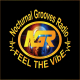 Listen to Nocturnal Grooves Radio & TV free radio online