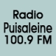 Radio Puisaleine 100.9 FM