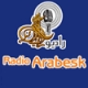 Listen to Radio Arabesk free radio online
