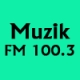 Listen to Muzik FM 100.3 free radio online