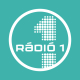 Listen to Rádió 1 Budapest free radio online