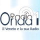 Listen to Radio Onda 1 free radio online