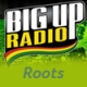 Listen to BIGUPRADIO Roots free radio online