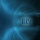Listen to BIRSt free radio online