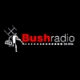 Listen to Bush Radio 89.5 FM free radio online