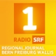 SRF 1 Regionaljournal Bern Freiburg Wallis