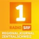 SRF 1 Regionaljournal Zentralschweiz