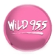 WLDI 95.5 FM