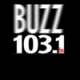 WPBZ Buzz 103.1 FM