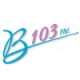 B103 103.1 FM (WGFB)