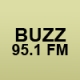 Buzz 95.1 FM