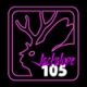 Jackalope Radio