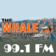 The Whale 99.1 FM (WAAL)