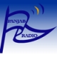 Listen to Panjab Radio free radio online