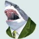 Formal Shark Radio