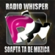 Radio Whisper
