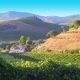 Listen to Wine Farm and Tourist free radio online