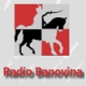 Radio Banovina