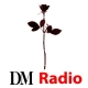 DM Radio