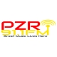 PZR 91.1 FM