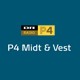 DR P4 Mid Vest