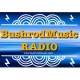 BushrodMusic RADIO-LA