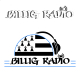 Listen to Billigradio free radio online