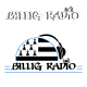 Billigradio