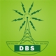 DBS Radio