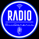 RADIO SUIGENERIS