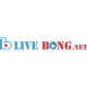 ketquatructuyenbongdalivebongnet