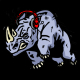 Rhino Radio