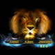 Listen to Mad Lion Radio free radio online