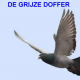 degrijzedoffer.com