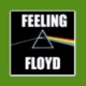 FeelingFloyd