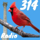 314 Bird Radio