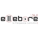 Radio Ellebore 105.9 FM