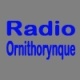 Radio Ornithorynque