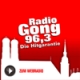 Radio Gong 96,3  FM